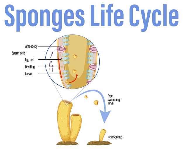 Addressing Hormonal Fluctuations