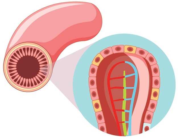 Understanding the Condition