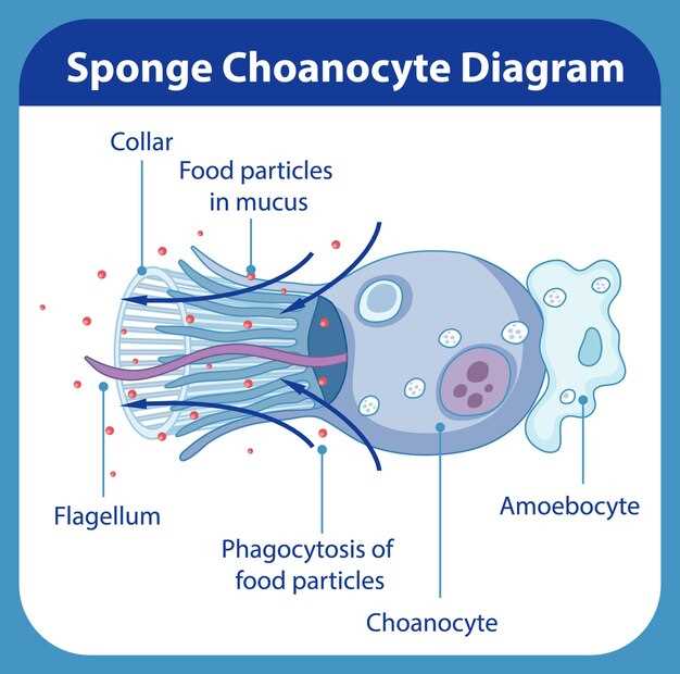 Exploring Mechanisms